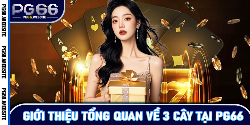 Giới thiệu tổng quan về 3 cây tại PG66