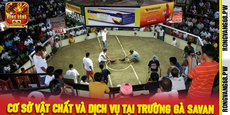 Cơ sở vật chất và dịch vụ tại trường gà Savan