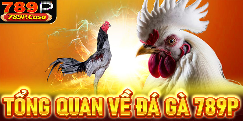 Thông tin tổng quan về sàn đặt cược đá gà 789P