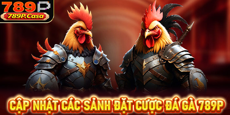 Cập nhật các sảnh đặt cược đá gà 789p đang dẫn đầu thị trường