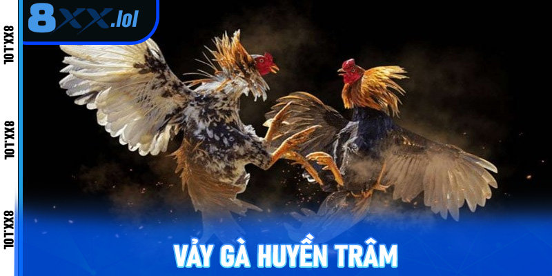 Vảy gà huyền trâm