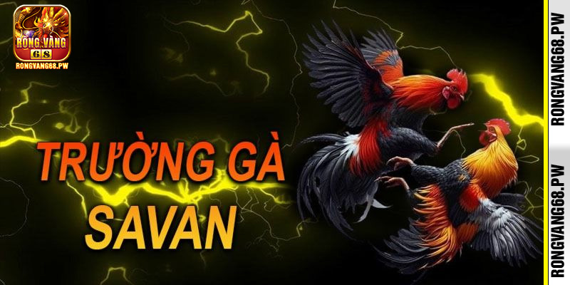 Trường gà Savan